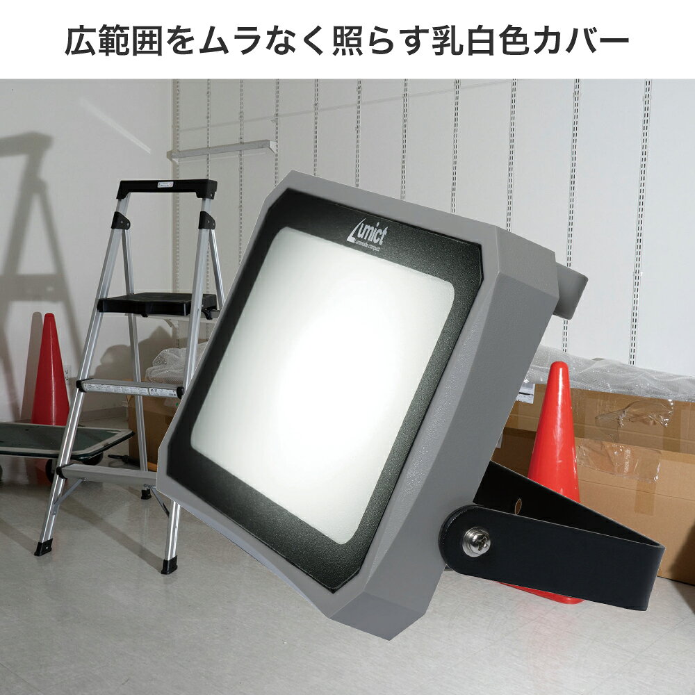 エルパ(ELPA) LED投光器 AC電源 2000ルーメン LFL-1002