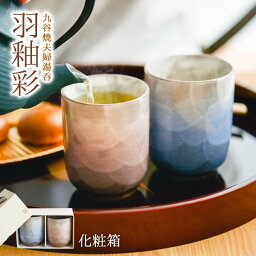 夫婦湯呑 【11%OFFクーポン!!4/24 20時~4H限定】 九谷焼 夫婦湯呑 羽釉彩 ペア 化粧箱入り ( 羽釉彩 あす楽 母の日 早割 プレゼント 初任給 夫婦湯のみ 夫婦湯飲み 湯呑み セット 陶器 古希祝い 九谷焼 結婚 出産 内祝い 引き出物 金婚式 誕生日プレゼント 還暦祝い 古希 喜寿 )