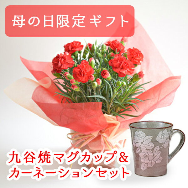 【5％OFFクーポン 本日23:59まで】 九谷焼 マグカップ＆鉢植えセット マグカップ 銀彩山茶花ピンク 色おまかせカーネーション ( 母の日 プレゼント 初任給 カーネーション マグカップ 母の日ギフト 陶器 おすすめ 九谷焼 九谷焼 結婚 出産 内祝い 引き出物 金婚式 )