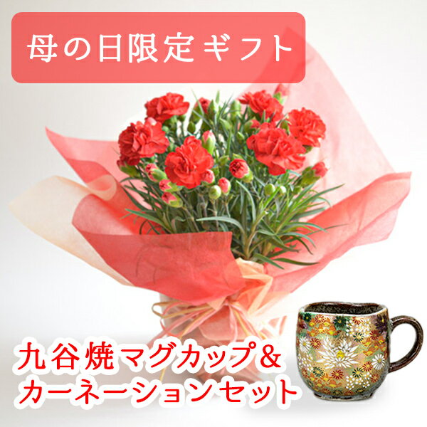 【5％OFFクーポン 本日23:59まで】 九谷焼 マグカップ＆鉢植えセット マグカップ 金花詰 色おまかせカーネーション セット ( 母の日 プレゼント 初任給 マグ マグカップ 陶器 カーネーション 母の日ギフト 九谷焼 九谷焼 結婚 出産 内祝い 引き出物 )