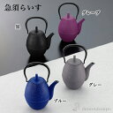 【10%OFFクーポン 本日23:59まで】 急須 らいす 選べる4色/黒/グレープ/ブルー/グレー 600ml 茶こし付 ( 岩鋳 母の日 プレゼント 初任給...