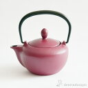 【10%OFFクーポン 本日23:59まで】 急須 ポワール 赤紫 ( 岩鋳 あす楽 母の日 プレゼント 初任給 取っ手付き 茶こし付き 茶器 カラーポット テ...