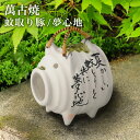【5%OFFクーポン 本日23:59まで】蚊取り豚 白豚 夢心地 ( 蚊取り線香 インセンス インテリア 雑貨 香立て ブタ 萬古焼 結婚 出産 内祝い 引き出...