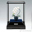 銀製 胡蝶蘭 白 53g ( プレート名入れ有料 高級 コレクション 美術品 工芸品 伝統 東京銀器(銀工芸) 周年 創立 上場 竣工 開店 事務所移転 開業 ...