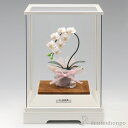 銀製 胡蝶蘭 白 DX 53g ( プレート名入れ有料 高級 コレクション 美術品 工芸品 伝統 東京銀器(銀工芸) 周年 創立 上場 竣工 開店 事務所移転 ...