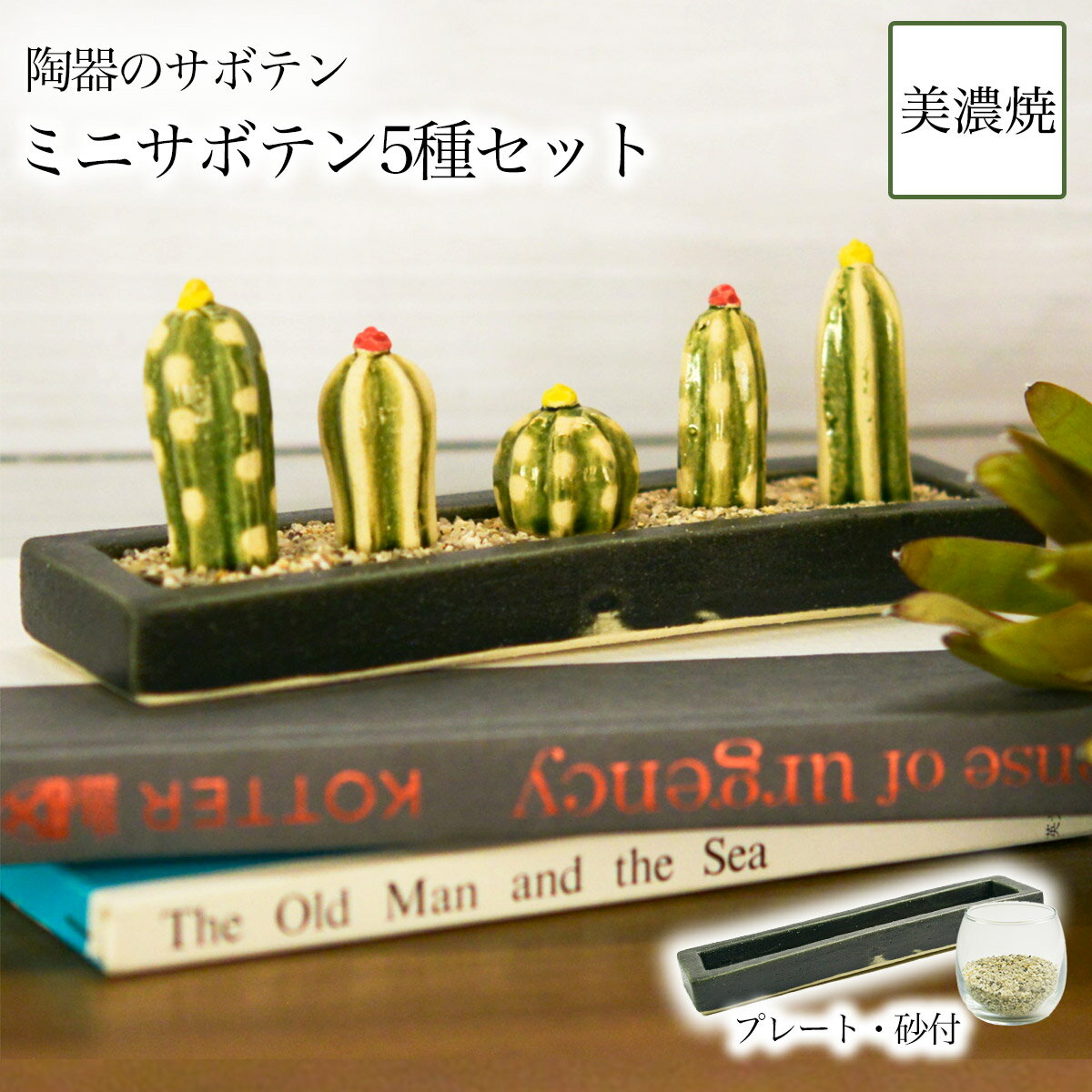 SERA　SABO ミニサボテンセット ロングプレート・砂付き ( 置物 オブジェ フェイクグリーン インテリア サボテン 植物 美濃焼 結婚 出産 内祝い 引き出物 金婚式 誕生日プレゼント 還暦祝い 古希 喜寿 米寿 退職 定年 プレゼント お祝い お返し お礼 令和 両親 父 母 )