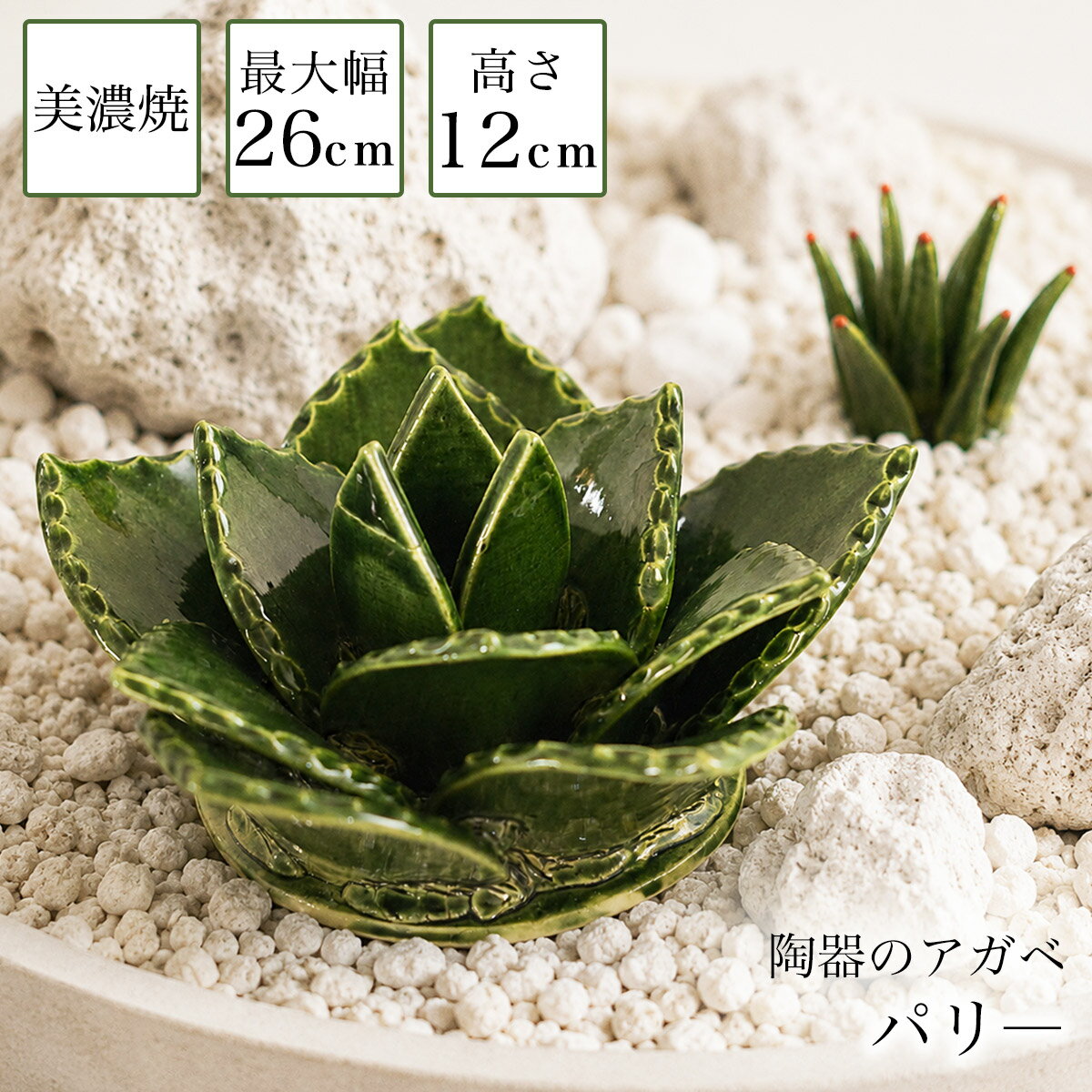 楽天市場】アガベパリーの通販