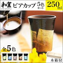 【5％OFFクーポン 本日23:59まで】 九谷焼 ビアカップ awatana 銀彩 専用木箱付き 250ml 5色セット ( 和窯 awatana あす楽 木箱名入れ有料 母の日 早割 プレゼント 初任給 タンブラー ビアグラス ビアカップ 陶器 ビール 九谷焼 結婚 出産 内祝い 引き出物 )