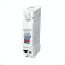 日東工業 PN31TA 2P 20A (2P 1E 100V) プチスリムサーキットブレーカ 日東 ☆インボイス領収書可能☆