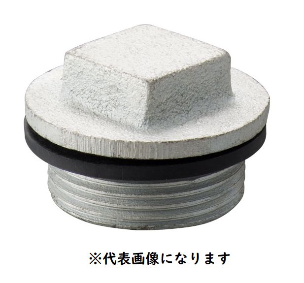 在庫あり　岩崎電気　EXP36F-G　防爆　プラグ　配管付属品　d2G4　インボイス領収書可能