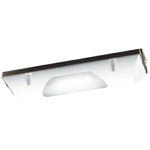 岩崎電気　レディオックシーリングII 防雨形　EECL1004ASA1N　FL20Wタイプ　昼白色タイプ　全方向配光..