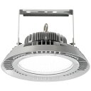 岩崎電気 レディオック ハイベイ シータ EHWP25014W/NSAN9/F 250W 昼白色タイプ 広角タイプ 光りがより広がるフロストタイプ