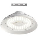 岩崎電気 レディオック ハイベイ シータ プラス EHCL16012W/NSAZ9 160W 昼白色タイプ 広角タイプ 人感センサ付 LED高天井用照明器具