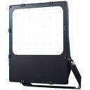 岩崎電気 レディオック フラッド レスク E30044SW/NSAN9/BK 300Wタイプ 昼白色タイプ 超広角タイプ