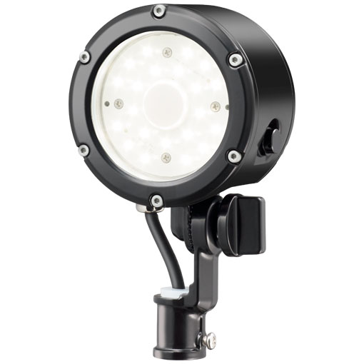 ŵ ǥå եå ȡE30014W/NSAN9/BK򿧥ס14Wס֥å