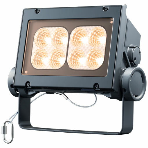 岩崎電気　 レディオック フラッド ネオ　ECF8040M/LSAN8/DG　電球色タイプ　80クラス　中角タイプ　ダークグレイ　＜旧形式：ECF0997L/SAN8/DG＞