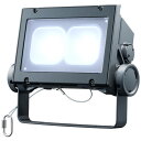 岩崎電気 レディオック フラッド ネオ ECF6040SW/DSAN8/DG 昼光色タイプ 60クラス 超広角タイプ ダークグレイ(3)