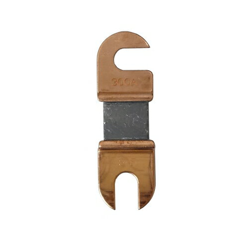ҥ塼 Ĥեҥ塼 300A-250V 55mm PF8 (50)