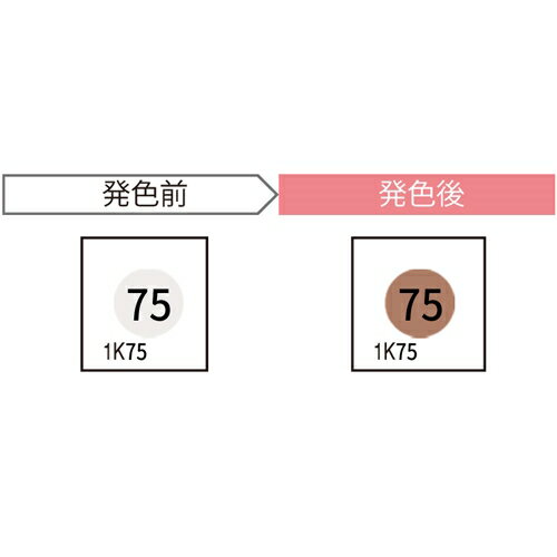 Rakuten - JAPPY サーモカラーセンサー 標準型1温表示タイプ 1K75-JP (20枚入)
