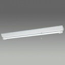 パナソニック 直管LEDランプ搭載ベースライト 非常用照明器具 天井直付型 富士型 防湿型・防雨型 Hf32形×1灯高出力型器具相当 30分間タイプ 昼白色 電池内蔵型 NNFW41091JLE9