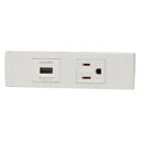 神保電器 USBコンセント+接地コンセントセット 家具・機器用 ピュアホワイト KAG-2608