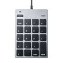 サンワサプライ Mac用テンキー キーボード ハブ付 アイソレーションタイプ USB Type-C NT-M18CUHSV(2)