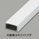 マサル工業 【ケース販売特価 10本セット】 メタルエフモール 金属被覆樹脂製配線カバー B型 2m ホワイト MFT2202_set