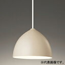 オーデリック LEDペンダントライト プラグタイプ 高演色LED LED電球フラット形 口金GX53-1 OP252733WDR