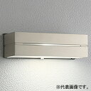 オーデリック LED表札灯 防雨型 明暗センサー付 高演色LED 下面配光タイプ LED電球ミニクリプトン形 OG042172NR