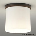 オーデリック LED小型シーリングライト 高演色LED LED電球ミニクリプトン形 口金E17 昼白色 OL013008NR