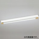 オーデリック LEDベースライト ≪LED-TUBE≫ 高演色LED 直付型 40形 ソケットカバー付 XL551190R1C