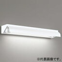 オーデリック LED看板灯 防雨・防湿型 壁面取付専用 高演色LED FL20W相当 LEDランプ型 XG554060RE(3)