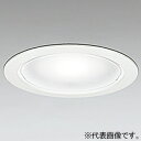 オーデリック LEDエクステリアベースダウンライト 防雨型 軒下取付専用 高気密SB形 白熱灯器具60W相当 高演色LED OD261867NR