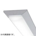 東芝 【お買い得品 10台セット】TENQOOバー6900タイプN色 LEDバー ランプのみ・本体別売 LEEM40693N01_set