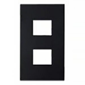 パナソニック プレート 《SO-STYLE》 2コ用 マットブラック WNS6002B