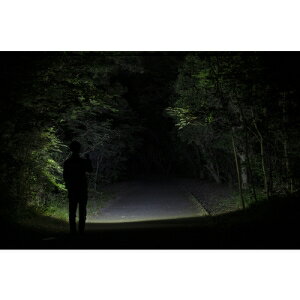 ジェントス LEDハンディライト FLP-2305