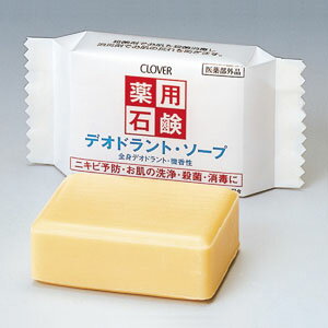 źƲ㤨֥ƥå и ǥɥȡ  051087פβǤʤ146ߤˤʤޤ