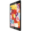 ELECOM 液晶保護フィルム 高精細反射防止TB-A19RFLFAHD