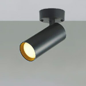 コイズミ照明 LEDシリンダースポットライト フランジタイプ 白熱球100W相当 散光配光 調光調色 電球色～昼白色 マットブラック AS51697