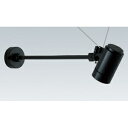 遠藤照明 LEDスポットライト 防雨形 アームタイプ 110Vφ50省電力ダイクロハロゲン球50W形40W相当 調光対応 E11口金 ERS4012H
