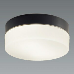 遠藤照明 LEDブラケットライト 2灯用 防湿・防雨形 FCL30W相当 E26口金 ランプ別売 ERG5546BA