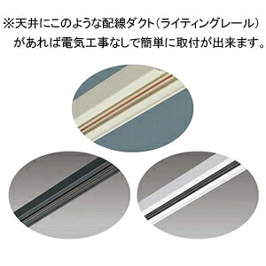 遠藤照明 LEDペンダントライト プラグタイプ 12Vφ35ダイクロハロゲン球35W形×1相当 調光対応 E11口金 ランプ別売 ERP7508F