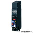 パナソニック カンタッチリモコンブレーカ カンタッチアロー盤専用 漏電保護付 BKFER-P型 プラグインタイプ 瞬時励磁式 BKFER22031TN(2)