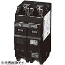 パナソニック リモコンブレーカ CL-50型 盤用 瞬時励磁式 配線保護用 50AF BCL2401(2)