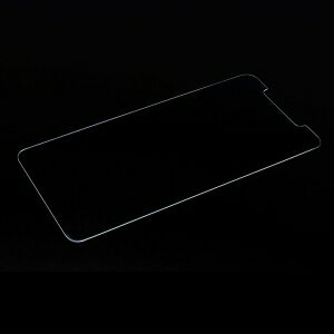 日本トラストテクノロジー iPhone11 ProMax用 2.5Dガラスフィルム GLASSF11PMAX