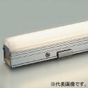 DAIKO LED間接照明用器具 ≪スタンダードライン照明≫ スリムタイプ 防雨・防湿形 天井・壁(縦向・横向)・床付兼用 非調光タイプ DWP-5354AW