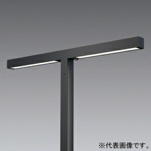 遠藤照明 LEDポール灯 灯体のみ 防湿・防雨形 2灯用 5000lmタイプ 水銀ランプ250W器具相当 ERL8269H