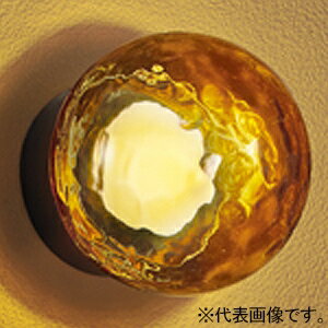 オーデリック LEDポーチライト 防雨・防湿型 高演色LED 白熱灯器具60W相当 LED電球フラット形 口金GX53-1 OG264067WR