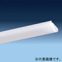 日立 LED光源ユニット 40形 一般タイプ 連続調光・固定出力兼用形 7000lmタイプ FHF32形×2灯器具相当 CET407LE-X14A(3)