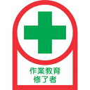 日本緑十字社 HL91 作業教育修了者 233091